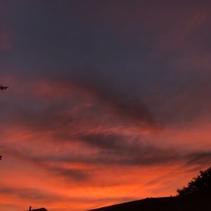 Meet your Posher, Sanama